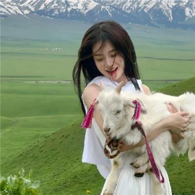 花好月又圆短剧