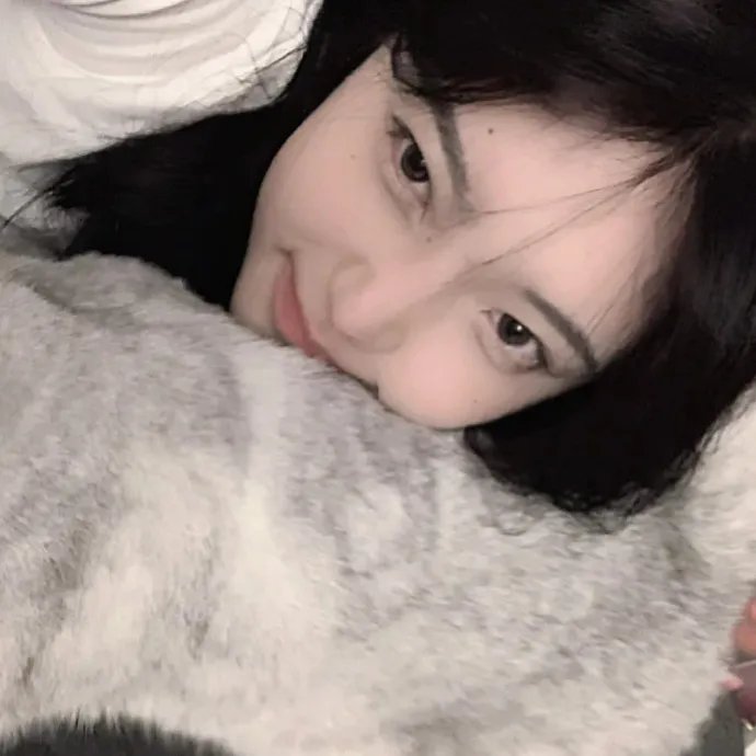 玛雅蜜蜂历险记